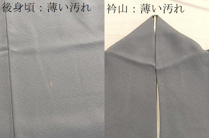 平和屋着物■友禅師・京の名工・伝統工芸士・樽本伊勢蔵監修　色無地　錫色　正絹　逸品　BAAX2747hv