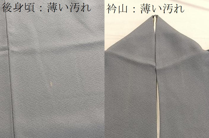 平和屋着物■友禅師・京の名工・伝統工芸士・樽本伊勢蔵監修　色無地　錫色　正絹　逸品　BAAX2747hv