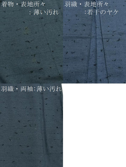 平和屋着物■男性　髭紬　アンサンブル　霞文　正絹　逸品　BAAX2765hv