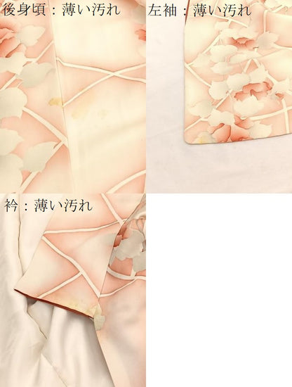 平和屋着物■上質な小紋　枝花文　暈し染め　正絹　逸品　BAAX2767hv