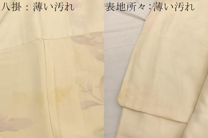 平和屋着物■訪問着　枝花文　金彩　正絹　逸品　BAAX2769hv