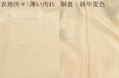 平和屋着物■訪問着　寿光織　枝花文　金糸　正絹　逸品　BAAX2774hv