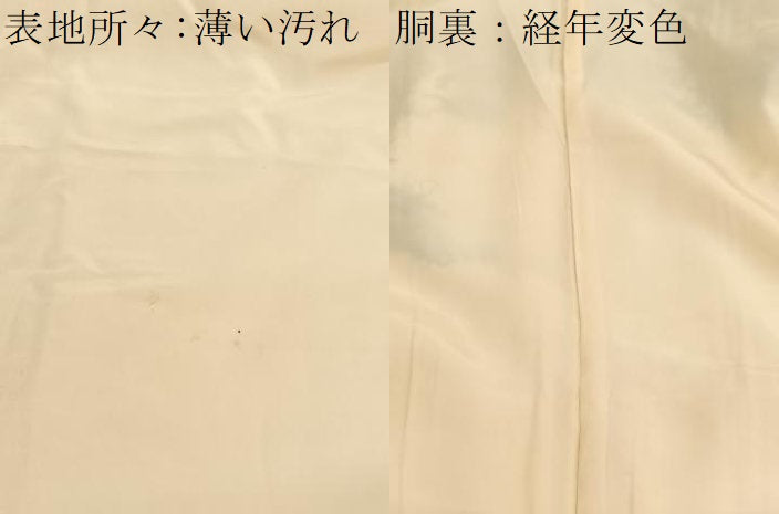 平和屋着物■訪問着　寿光織　枝花文　金糸　正絹　逸品　BAAX2774hv