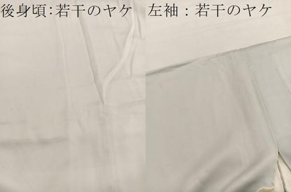 平和屋着物■訪問着　源氏車花文　暈し染め　金彩　正絹　逸品　BAAX2776hv