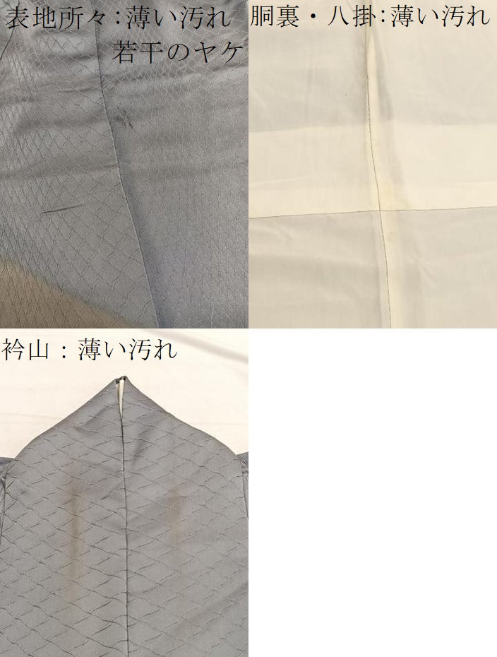 平和屋着物■訪問着　刺繍　地紙花蝶文　暈し染め　金銀彩　銀通し地　正絹　逸品　BAAX2777hv