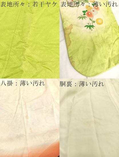 平和屋着物■豪華振袖　駒刺繍　菊花文　暈し染め　金彩　正絹　逸品　BAAX2786hv