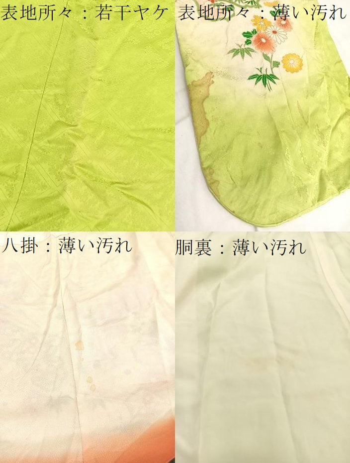 平和屋着物■豪華振袖　駒刺繍　菊花文　暈し染め　金彩　正絹　逸品　BAAX2786hv