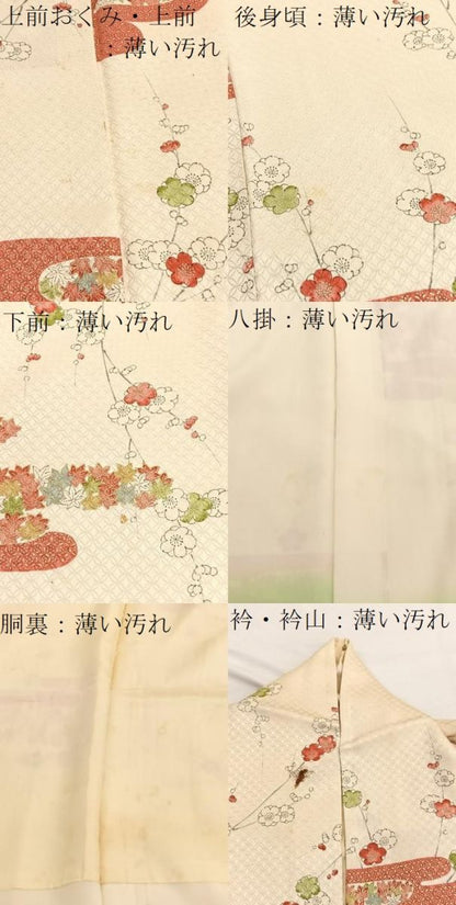 平和屋着物■上質な小紋　手描き　紅白梅　金彩　正絹　逸品　BAAX2789hv