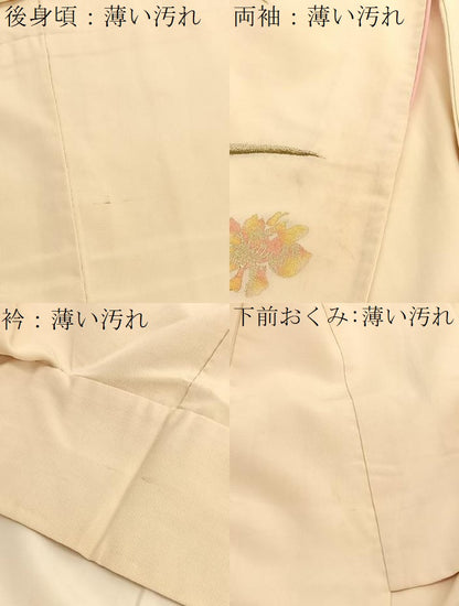 平和屋着物■訪問着　寿光織　枝花文　金糸　正絹　逸品　BAAX2792hv