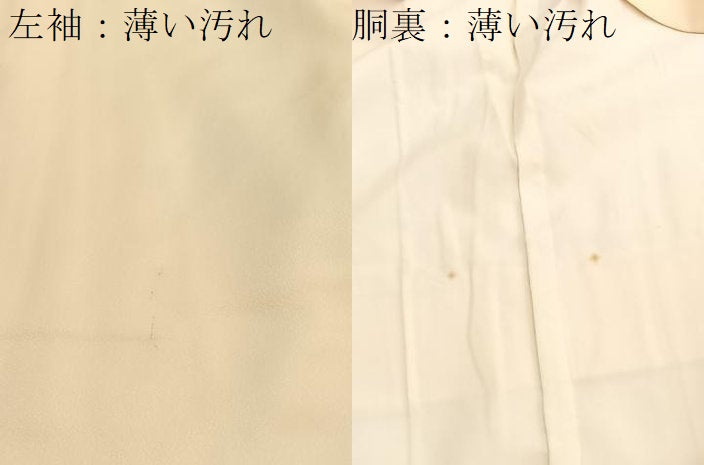 平和屋着物■訪問着　南天文　暈し染め　正絹　逸品　BAAX2794hv