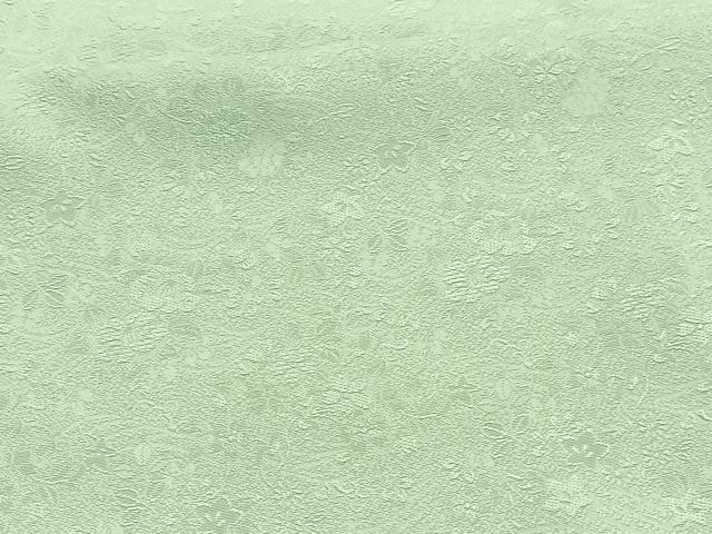 平和屋着物■上質な色無地　草花地紋　夏虫色　さが美扱い　正絹　逸品　BAAX2816hv