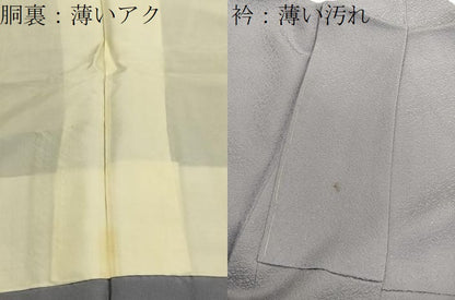 平和屋着物■上質な色無地　紋意匠　薄色　正絹　逸品　未使用　BAAX2828hv
