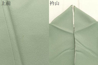 平和屋着物●上質な色無地　作家物　裏葉柳色　ロング丈　正絹　逸品　BAAX2843hv