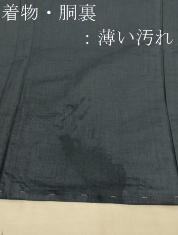 平和屋着物■男性　紬　アンサンブル　亀甲文様　羽裏：獅子　正絹　逸品　未使用　BAAX2850hv