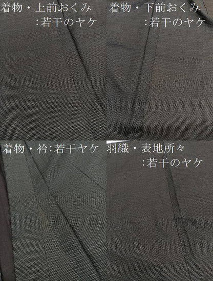 平和屋着物■男性　本場大島紬　アンサンブル　100亀甲　総詰め　羽裏：風神雷神　正絹　逸品　BAAX2864hv