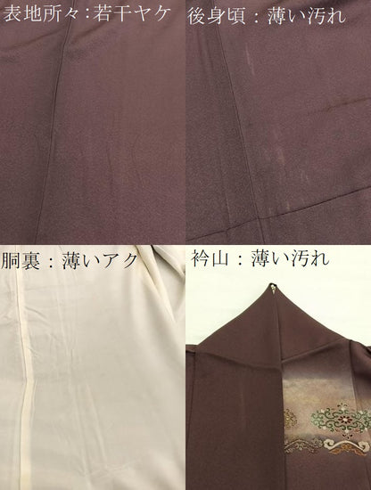 平和屋着物■訪問着　向かい鳳凰飾花文　暈し染め　金銀彩　正絹　逸品　BAAX2898hv