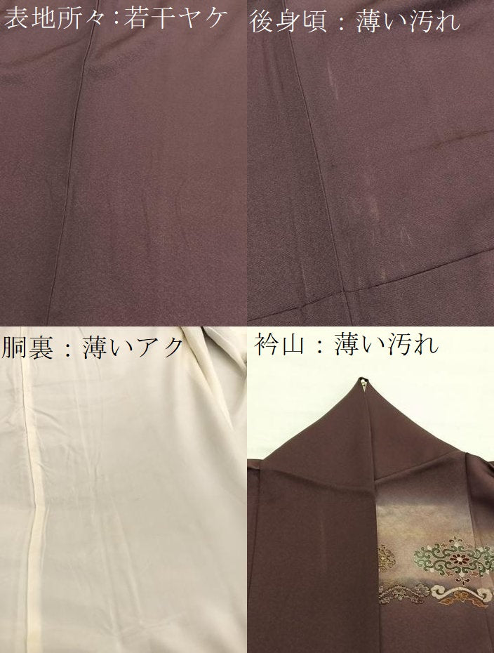 平和屋着物■訪問着　向かい鳳凰飾花文　暈し染め　金銀彩　正絹　逸品　BAAX2898hv