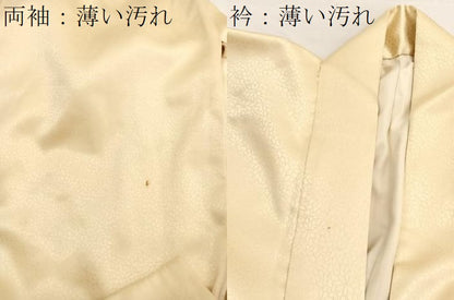 平和屋着物■訪問着　駒刺繍　花丸文　暈し染め　金彩　正絹　逸品　BAAX2901hv