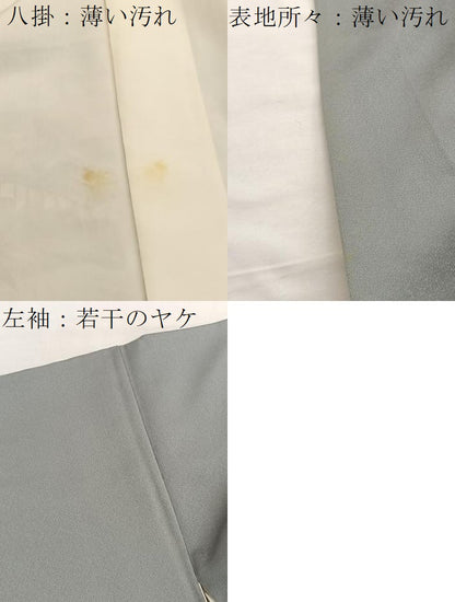 平和屋着物■訪問着　駒刺繍　御所解文　暈し染め　金彩　正絹　逸品　BAAX2907hv