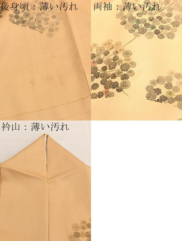 平和屋着物●訪問着　地紙花文　金彩　正絹　逸品　BAAX2916hv