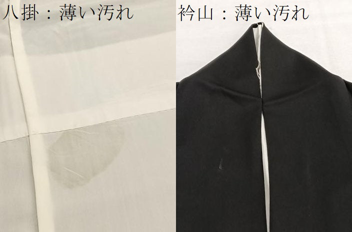 平和屋着物■訪問着　雲取り菊花文　黒地　金彩　正絹　逸品　BAAX2930hv