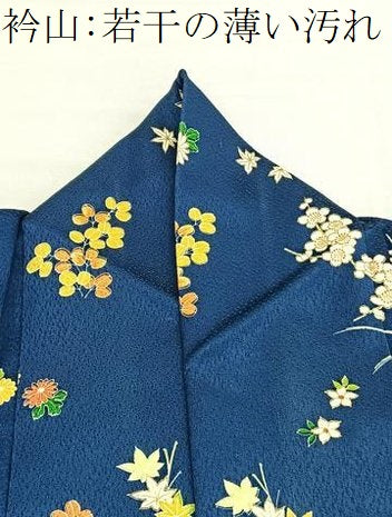 平和屋着物■訪問着　草花文　金彩　正絹　逸品　BAAX2931hv