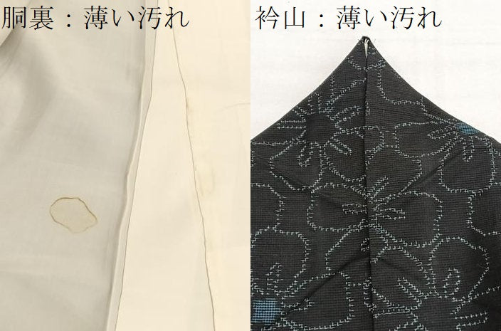 平和屋着物■上質な紬　舞花文　黒地　正絹　逸品　BAAX2933hv