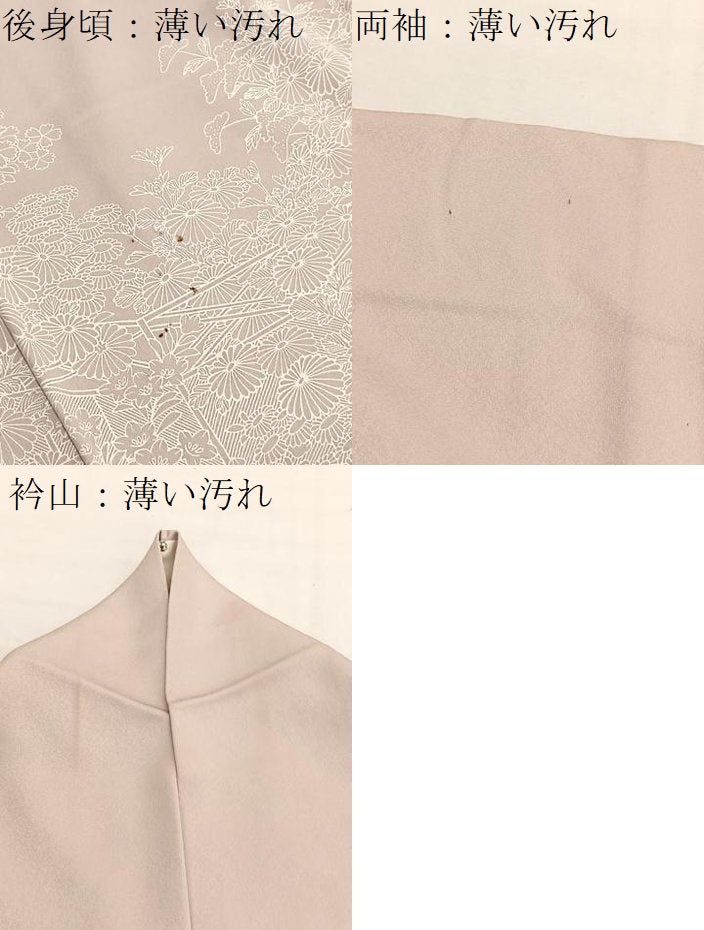 平和屋着物■豪華色留袖　刺繍　菊尽くし　正絹　逸品　BAAX2934hv