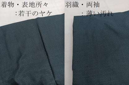 平和屋着物■男性　本場大島紬　アンサンブル　80亀甲　総詰め　正絹　逸品　BAAX2938hv