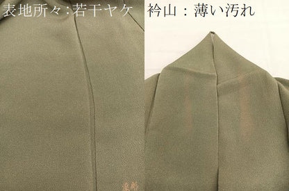 平和屋着物■江戸小紋　彫士：住田双光・染士：服部光擴　草木染　極鮫小紋　反端付き　正絹　逸品　BAAX2941hv