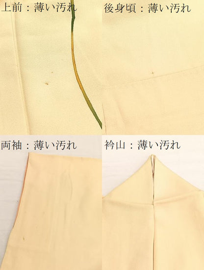 平和屋着物■訪問着　葡萄　暈し染め　金彩　正絹　逸品　BAAX2964hv