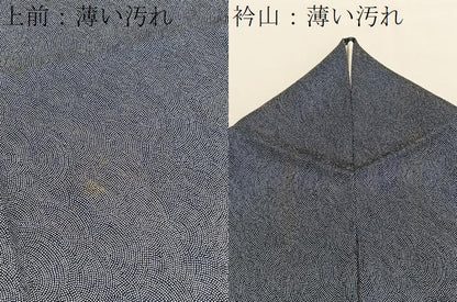 平和屋着物■江戸小紋　鮫小紋柄　正絹　逸品　BAAX2971hv