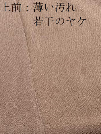 平和屋着物■上質な色無地　鴇浅葱色　鬼しぼ縮緬　正絹　逸品　BAAX2973hv