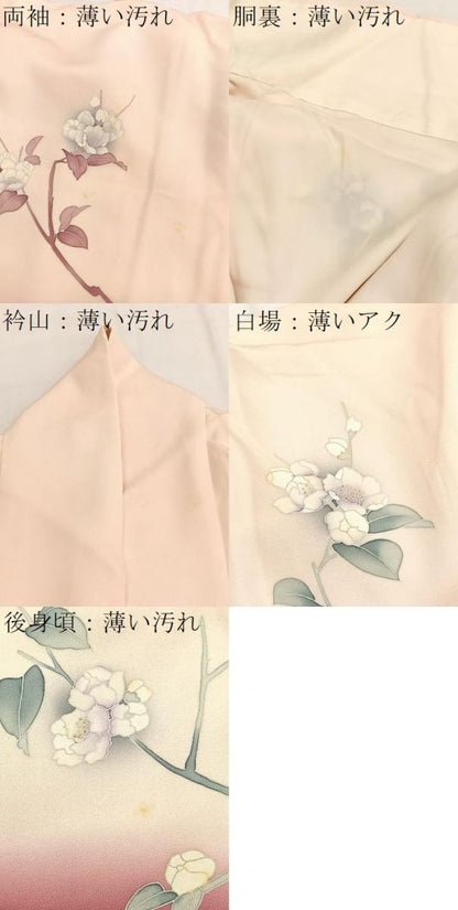 平和屋着物■訪問着　枝花文　暈し染め　正絹　逸品　BAAX2978hv