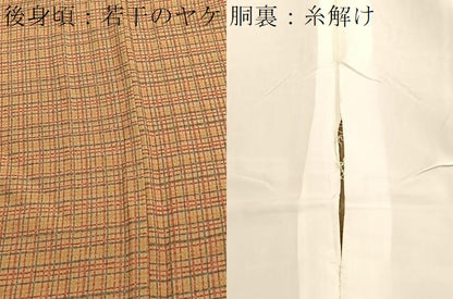 平和屋着物■上質な小紋　格子　ロング丈　正絹　逸品　BAAX2987hv