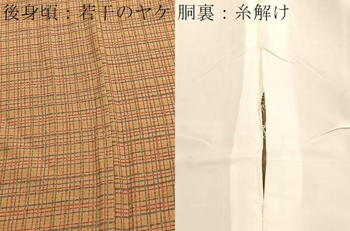 平和屋着物■上質な小紋　格子　ロング丈　正絹　逸品　BAAX2987hv