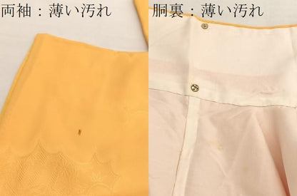 平和屋着物■上質な色無地　風景地紋　柑子色　正絹　逸品　BAAX2999hv