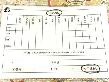 平和屋着物◎両面　六通柄袋帯　唐織　立波花蝶文　金銀糸　正絹　逸品　BAAX3068yc