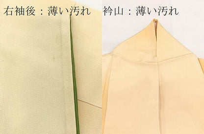 平和屋着物■訪問着　手描き　樹林文　暈し染め　正絹　逸品　BAAX3225yc
