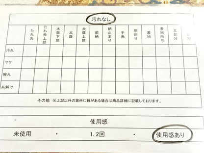 平和屋着物◎太鼓柄袋帯　唐織　綴れ　名物鳳凰唐草丸文　金銀糸　正絹　逸品　BAAX3404yc