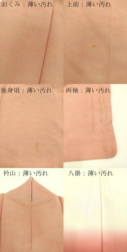 平和屋着物■江戸小紋　鮫小紋柄　正絹　逸品　BAAX3481yc