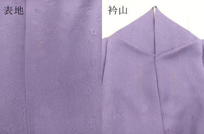 平和屋着物●上質な色無地　菊花地紋　竜胆色　正絹　逸品　BAAX3487yc