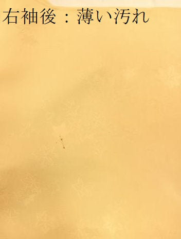 平和屋着物■上質な色無地　楓地紋　蜂蜜色　正絹　逸品　BAAX3504yc