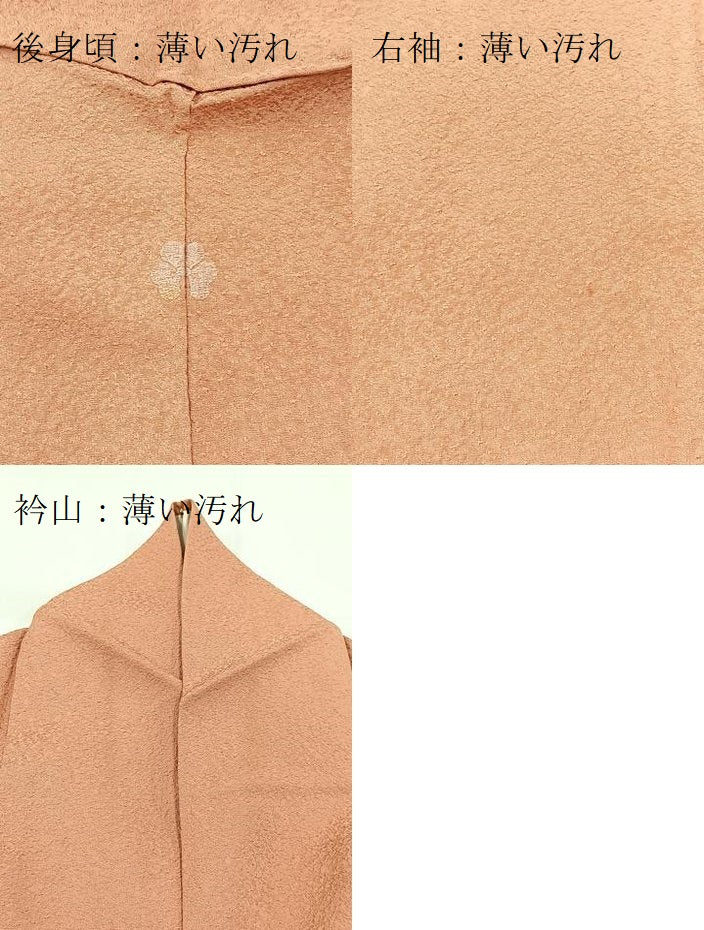 平和屋着物■上質な色無地　紋意匠　洗朱色　正絹　逸品　BAAX3507yc