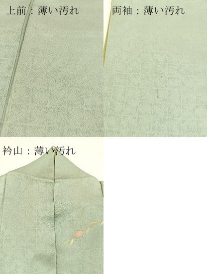 平和屋着物■訪問着　草花文　暈し染め　金彩　正絹　逸品　BAAX3567yc