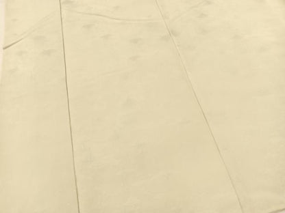 平和屋着物■上質な色無地　青海波地紋　象牙色　正絹　逸品　BAAX3575yc