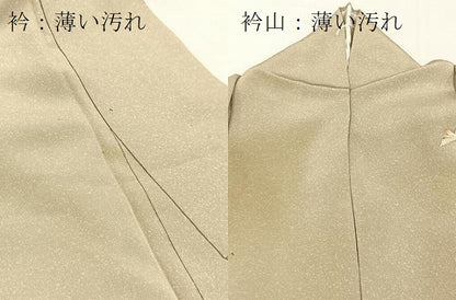 平和屋着物■訪問着　飛鳥浜松文　暈し染め　金彩　正絹　逸品　BAAX3619yc