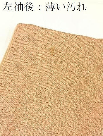 平和屋着物■訪問着　刺繍　菊花文　暈し染め　金彩　正絹　逸品　BAAX3623yc