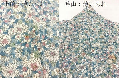 平和屋着物■上質な小紋　花尽くし　正絹　逸品　BAAX3634yc