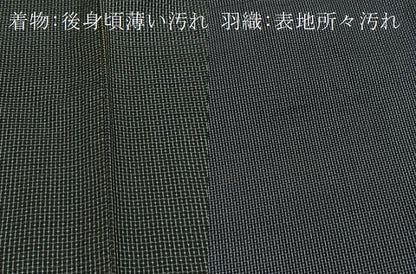 平和屋着物■男性　本場大島紬　アンサンブル　長羽織　80亀甲　総詰め　正絹　逸品　BAAX3679yc